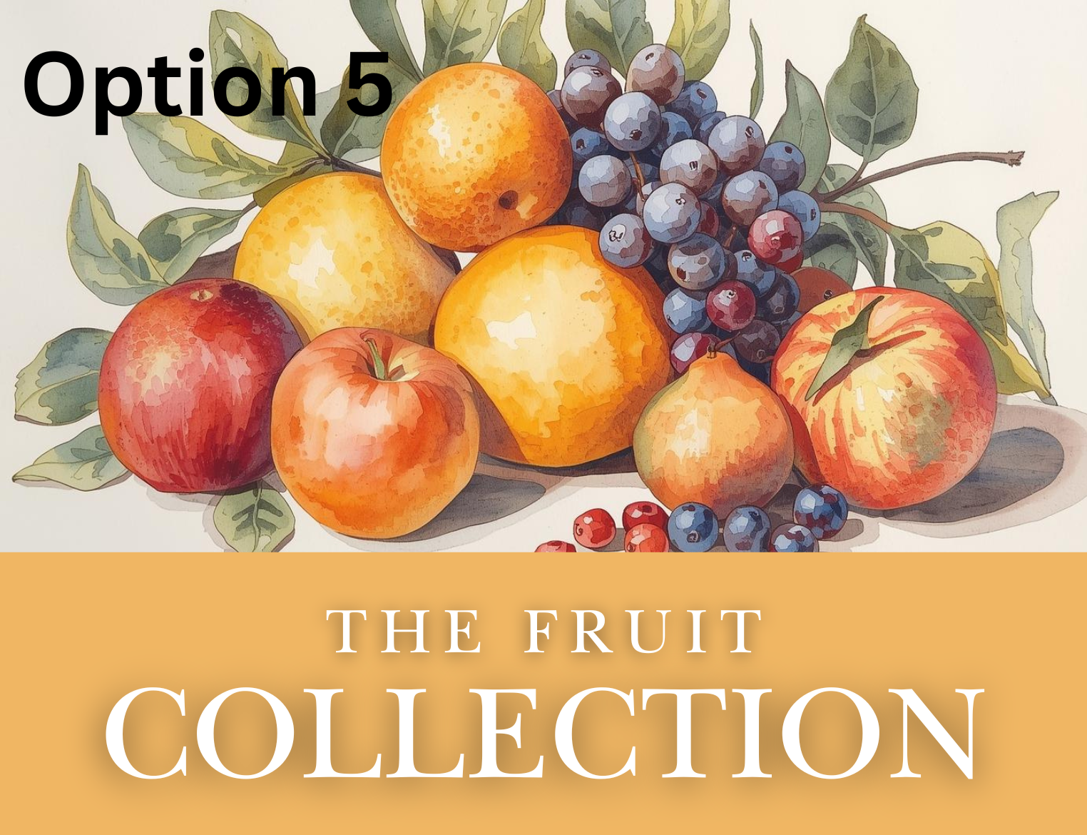 Fruity HB Collection Label